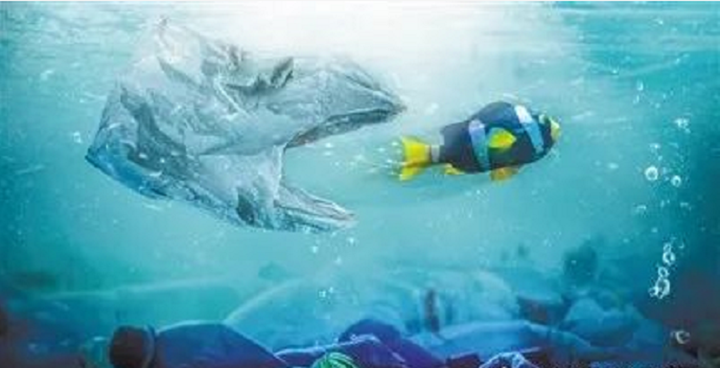 各方共同推進可降解塑料制品普及，加速“禁塑令”落地實施